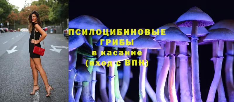 Галлюциногенные грибы MAGIC MUSHROOMS  купить наркотик  omg ссылка  Фролово 